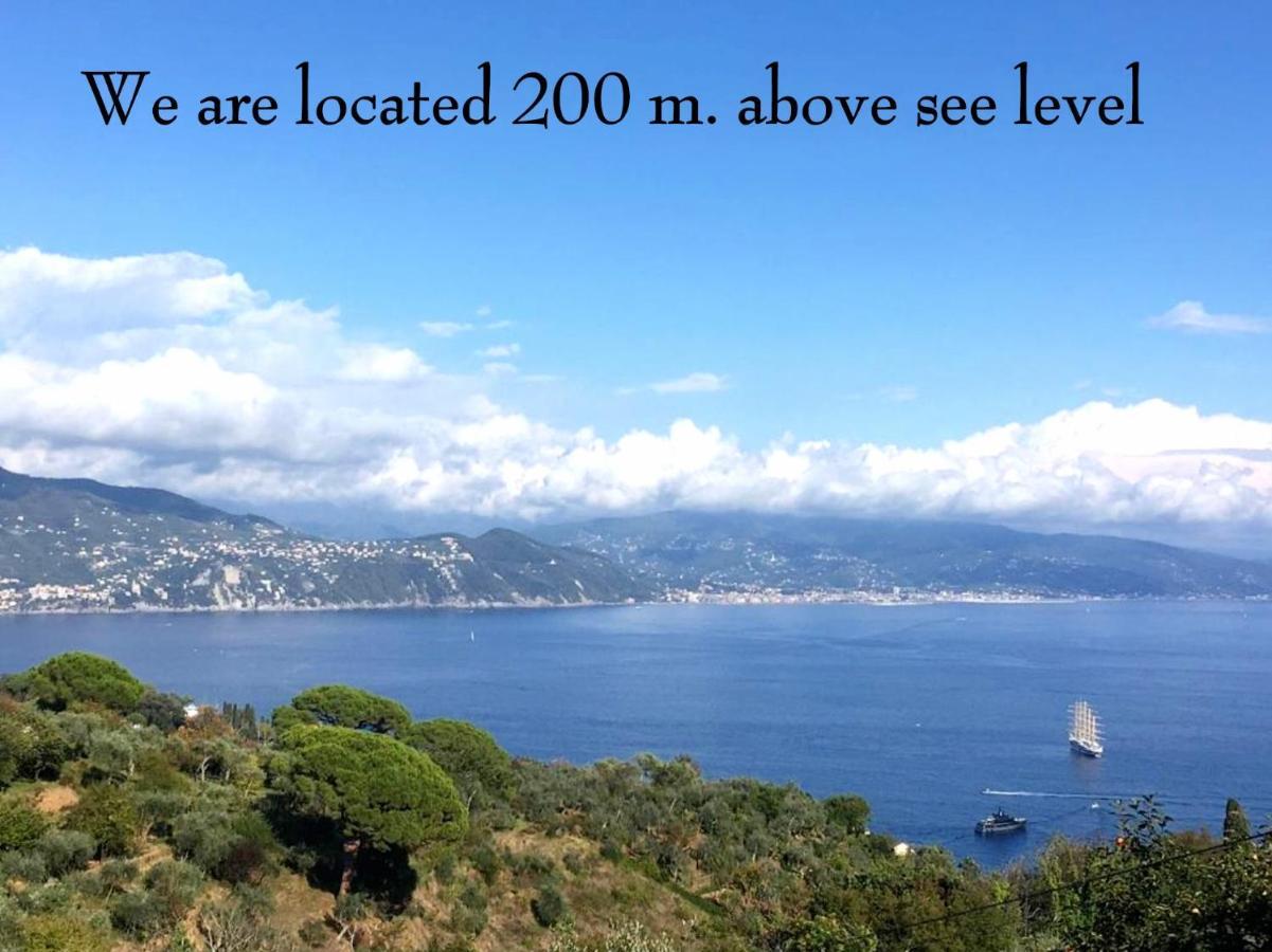 Agriturismo Terre Rosse Farm stay Portofino