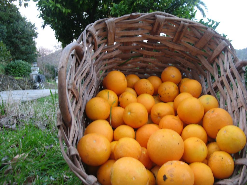 Agriturismo Terre Rosse Farm stay