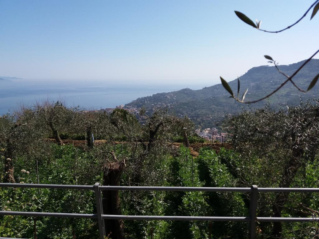 Agriturismo La Mela Secca * Portofino
