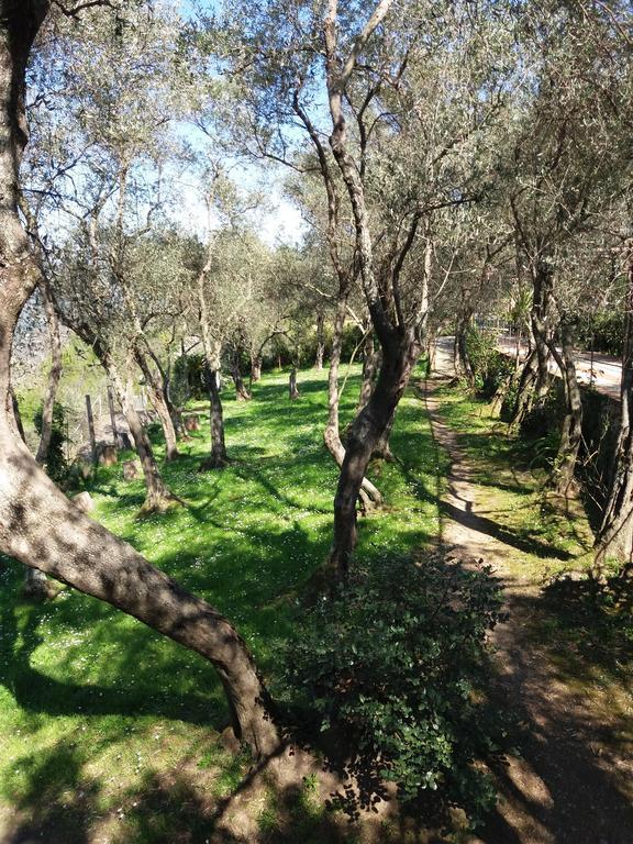 Agriturismo La Mela Secca Bed & Breakfast *