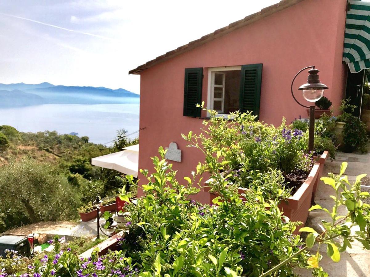Agriturismo Terre Rosse *