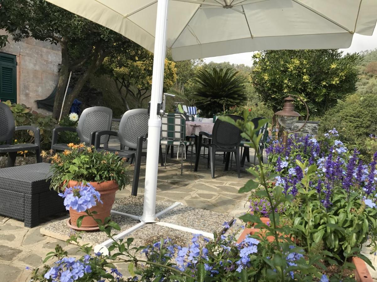 Agriturismo Terre Rosse * Portofino