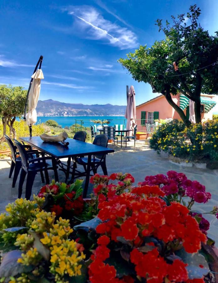 Agriturismo Terre Rosse Farm stay Portofino