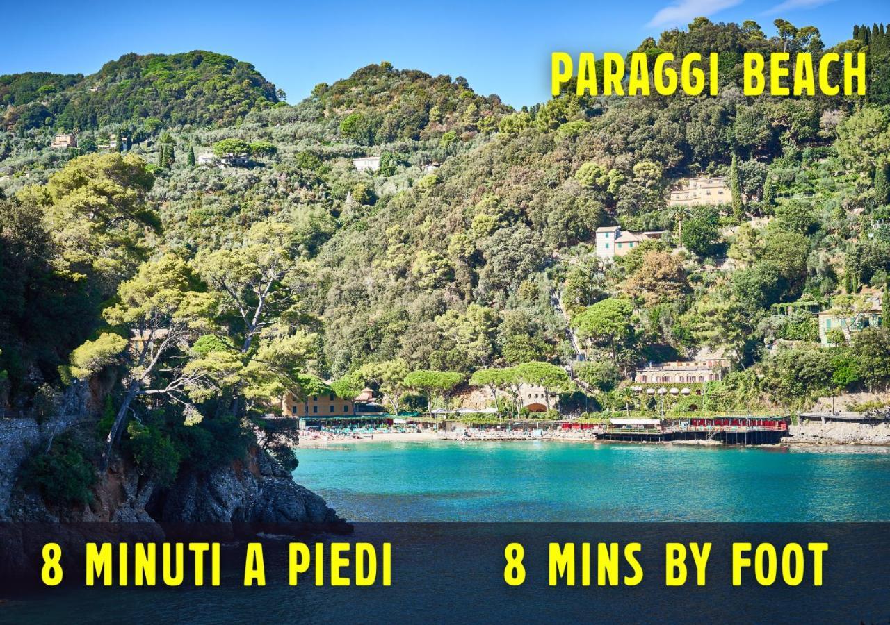 Portofino's Little Nest Con Parcheggio Wi-fi E Aria Condizionata Apartment