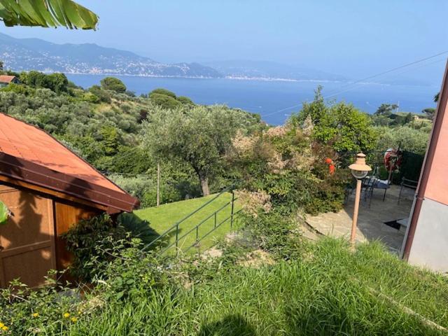Terre Rosse *